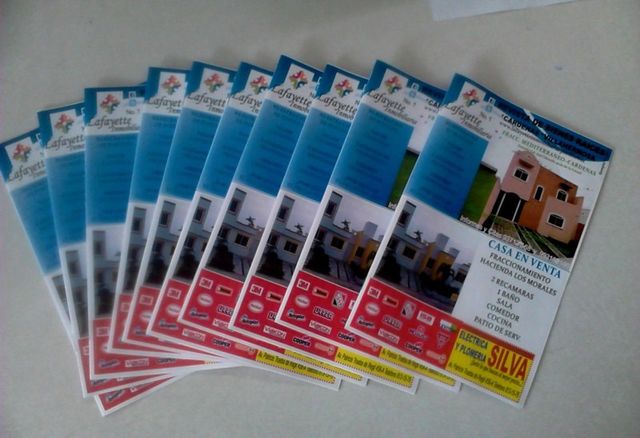 Impresión de Guías